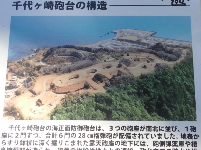PC229496 ブCml.JPG