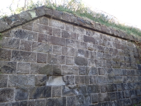 PC229502 ブCm.JPG
