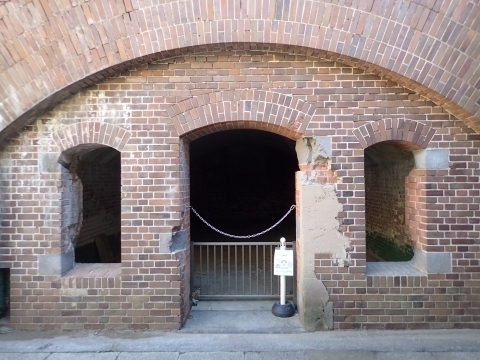 PC229517 ブCm.JPG