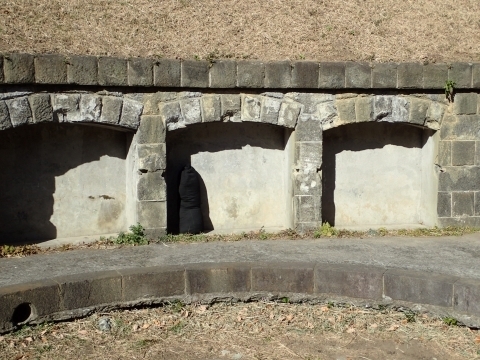 PC229535 ブCm.JPG