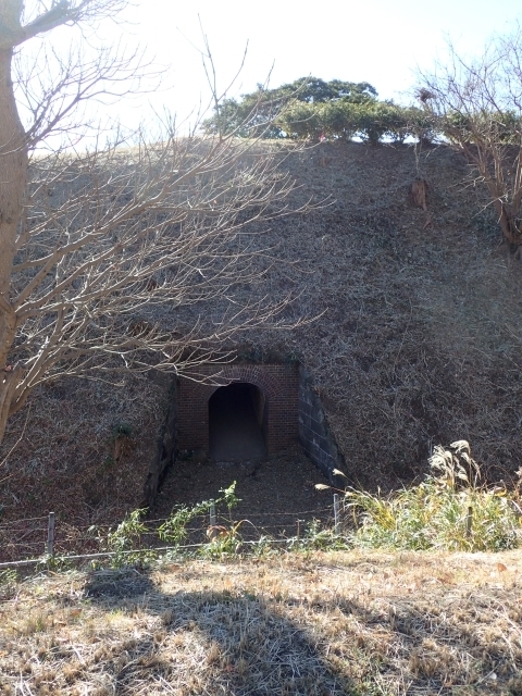 PC229552 ブCՁ@ォm.JPG