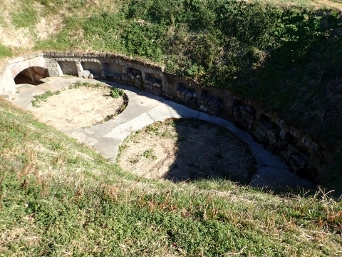 PC229558 ブCՁ@ォm.JPG