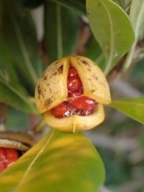 PC229577 gx@ʎs.JPG