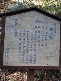 sP2260287 ֖ؐŔ.JPG
